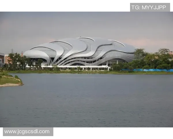 广州极限运动队创历史新高运动状态排名引发热议与关注