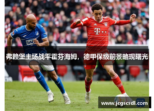 弗赖堡主场战平霍芬海姆，德甲保级前景略现曙光