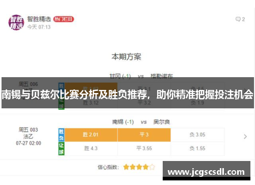 南锡与贝兹尔比赛分析及胜负推荐，助你精准把握投注机会